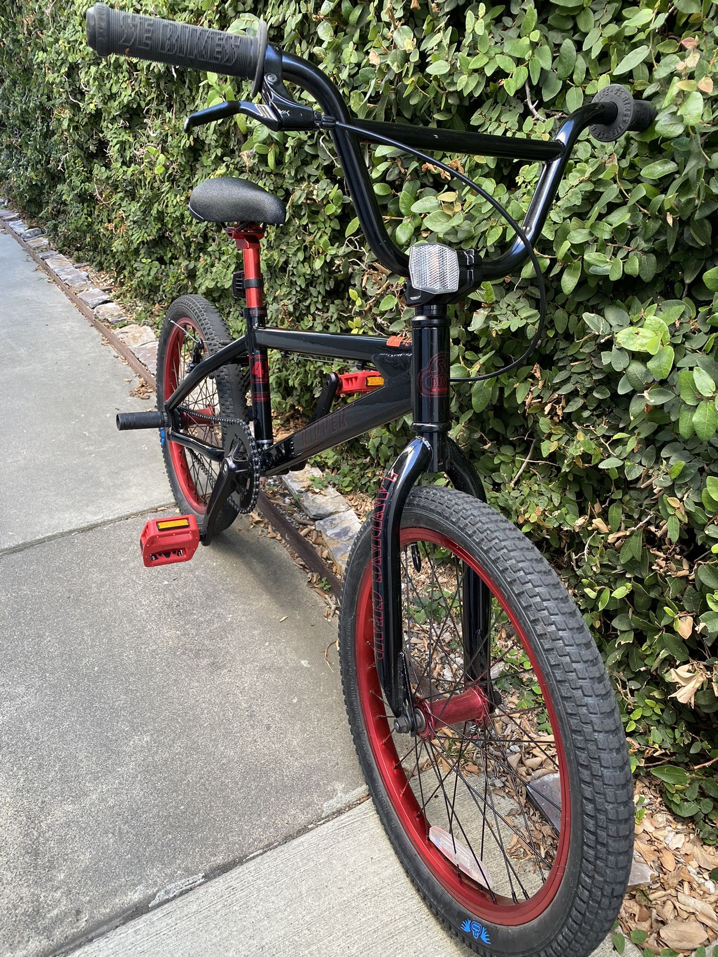 SE Bike Ripper 20