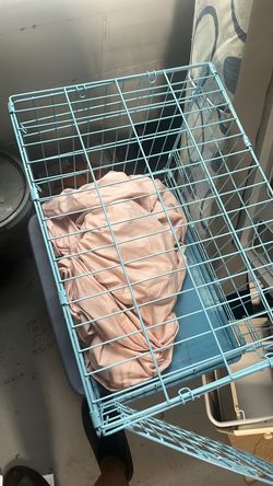 Dog Cage