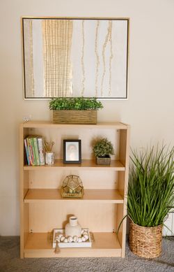 Bookcase or Shelves