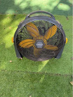 Big fan