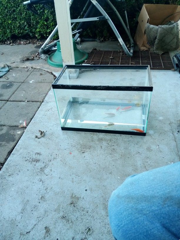 10gall Fish Tank