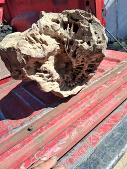 Driftwood art piece