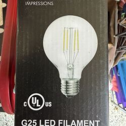 Light Bulb -box of 6
