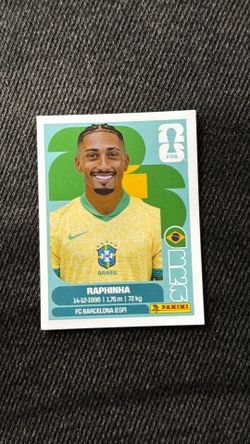 Panini raphinha