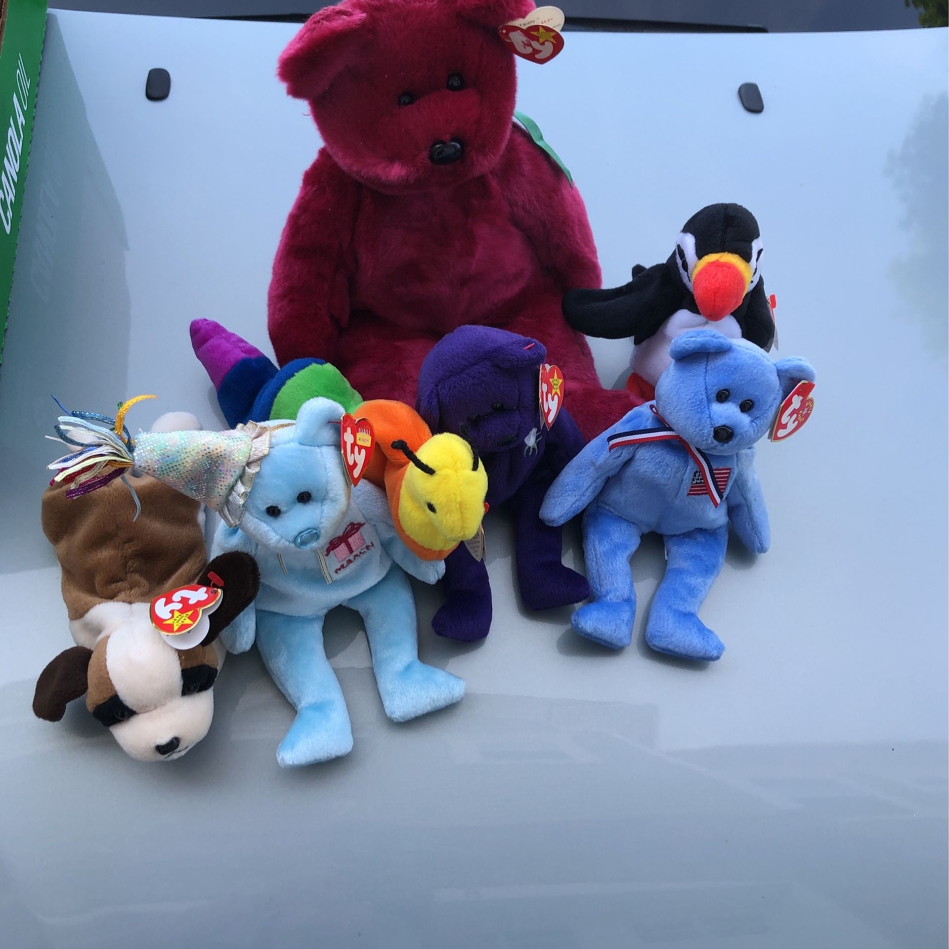 Ty Beanie Babies And Buddies