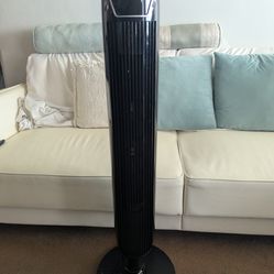 Black fan