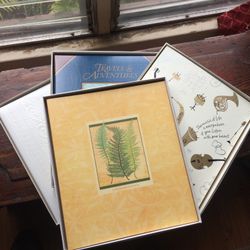 Photo Albums $2 Each. Like New Condition