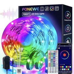 100 Ft Led Lights 