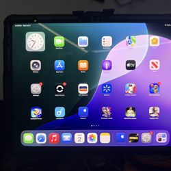 iPad Pro 13 Inch M4 256 Gig Unlocked 