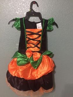 Girl witch halloween costume. Fits 2-4 year old.