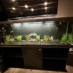 125 Gallon Living Fish Tank With Stand And Filters 