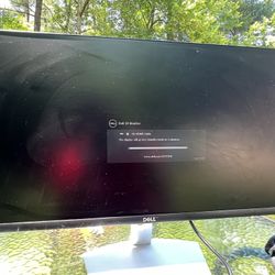 Dell S2421HN Monitor - 24” Full HD - Slim & Modern