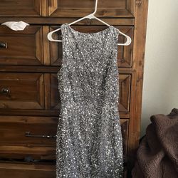 Silver Sequin Dress 