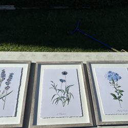 3 Piece Floral Wall Art