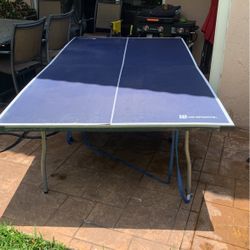 Ping Pong Table