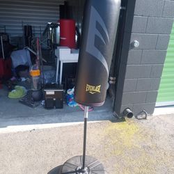 Everlast Punching Bag