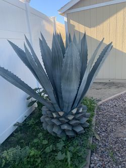 home and garden