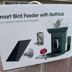 Smart Bird Bath With Camera And Bathtub