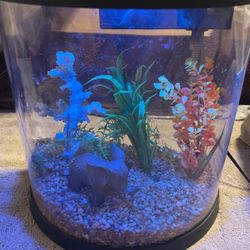 3.5 Gallon Top Fin Fish Tank With Accessories 