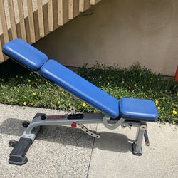 STAR TRAC COMMERCIAL GRADE WEIGHTS BENCH (missing adjustable knob for the seat)