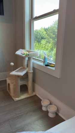 cat tree