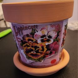 Mr. Sunshine Terracotta Planters with
Vintage Art