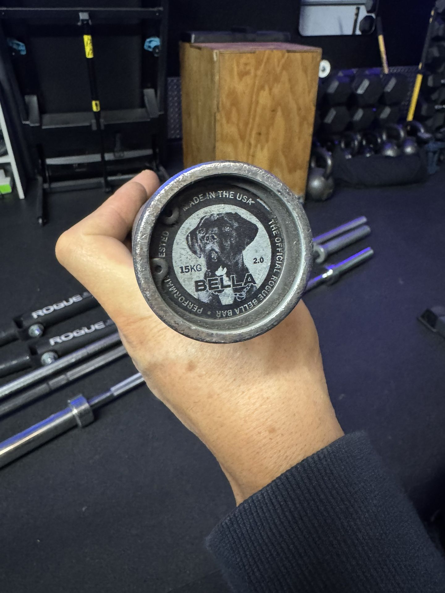 Bella Rogue Olympic Barbell & Others