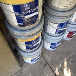 Paint For Sale 
