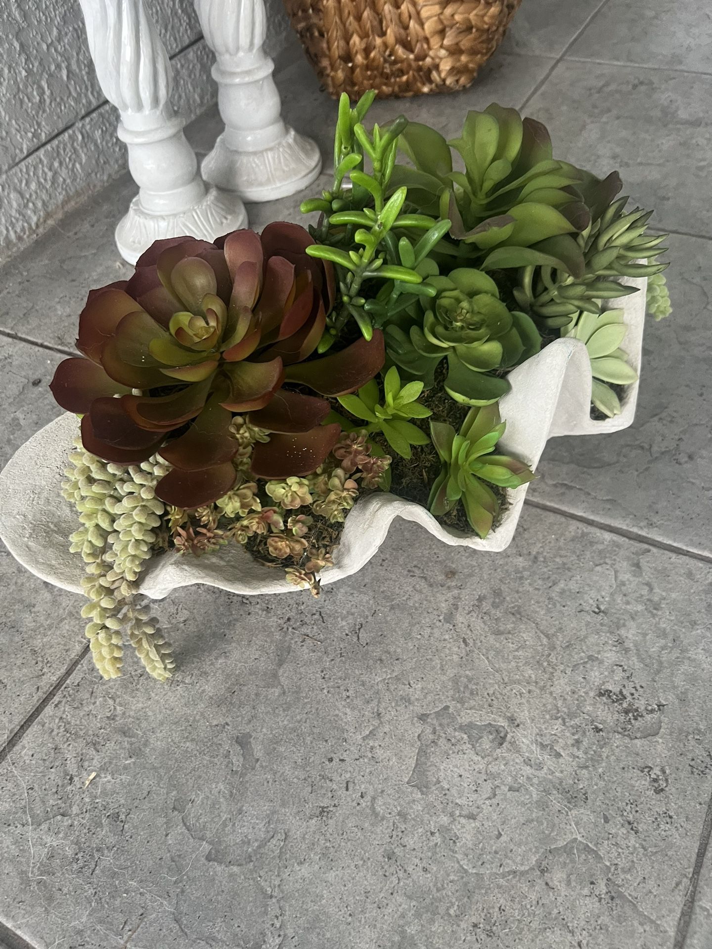 Succulent Planter, Home Decor, And Shell
