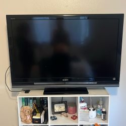 Sony 42” Television