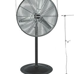 Shop Fan