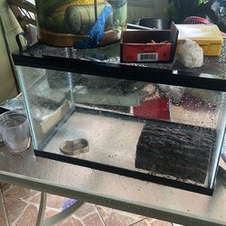 Terrarium or aquariums