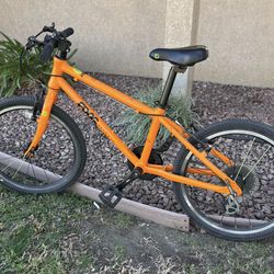 Kids Frog Bike 20”