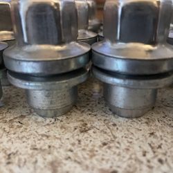 Lug’s Nuts 