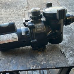 Pool Pump 1.65 HP Jandy 