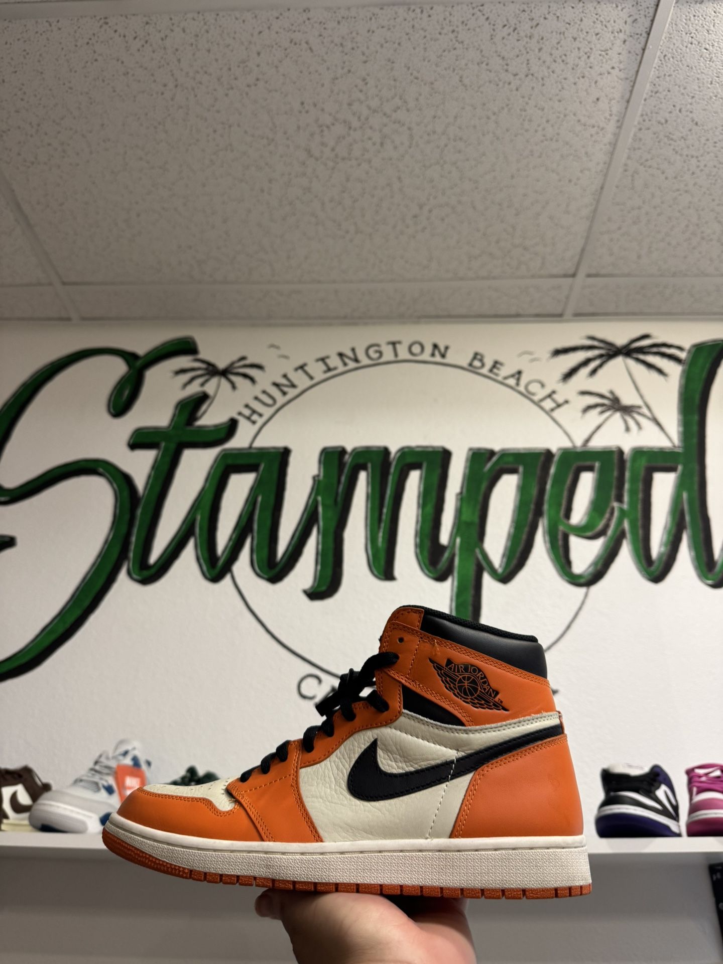 Jordan 1 Reverse SBB