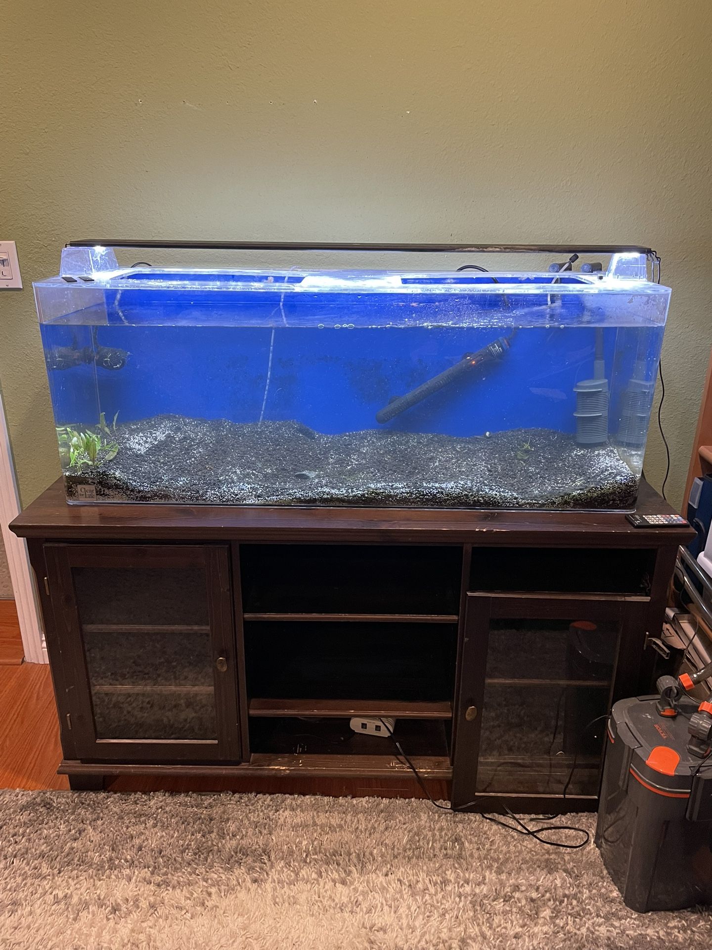 60 Gallon Acrylic Aquarium Complete SetUp