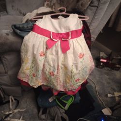 Toddler Girls Sleeveless Colorful Floral Print Dress 2T