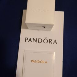 Pandora Charm- Sterling Silver