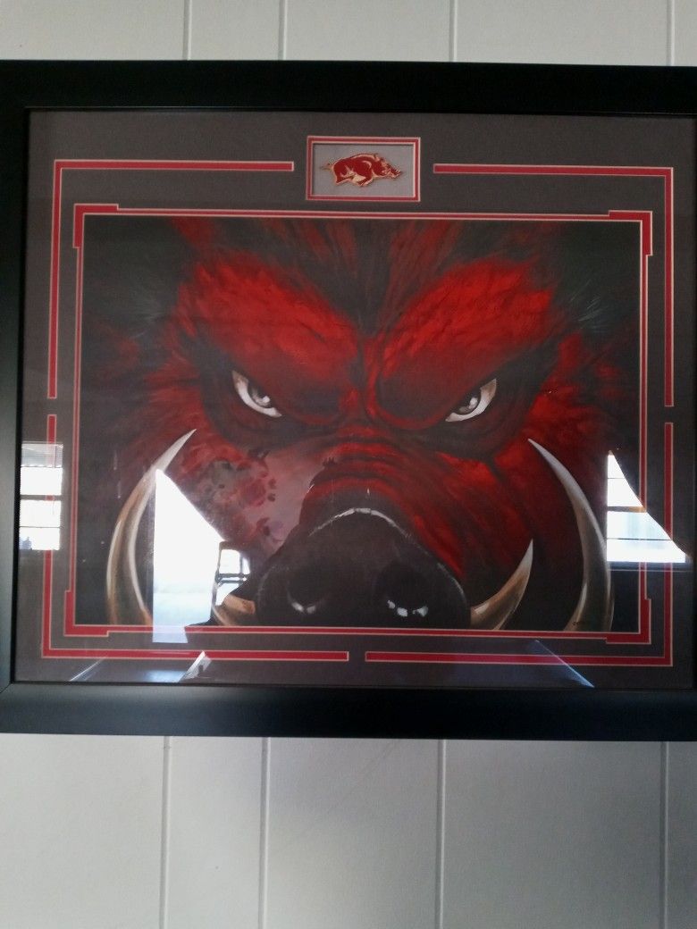 Razorback Picture In Frame
