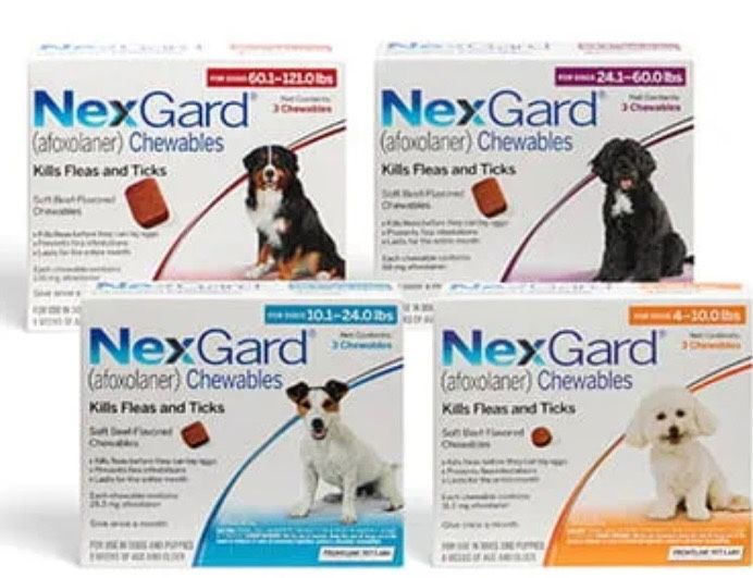 Nexguard For Dogs
