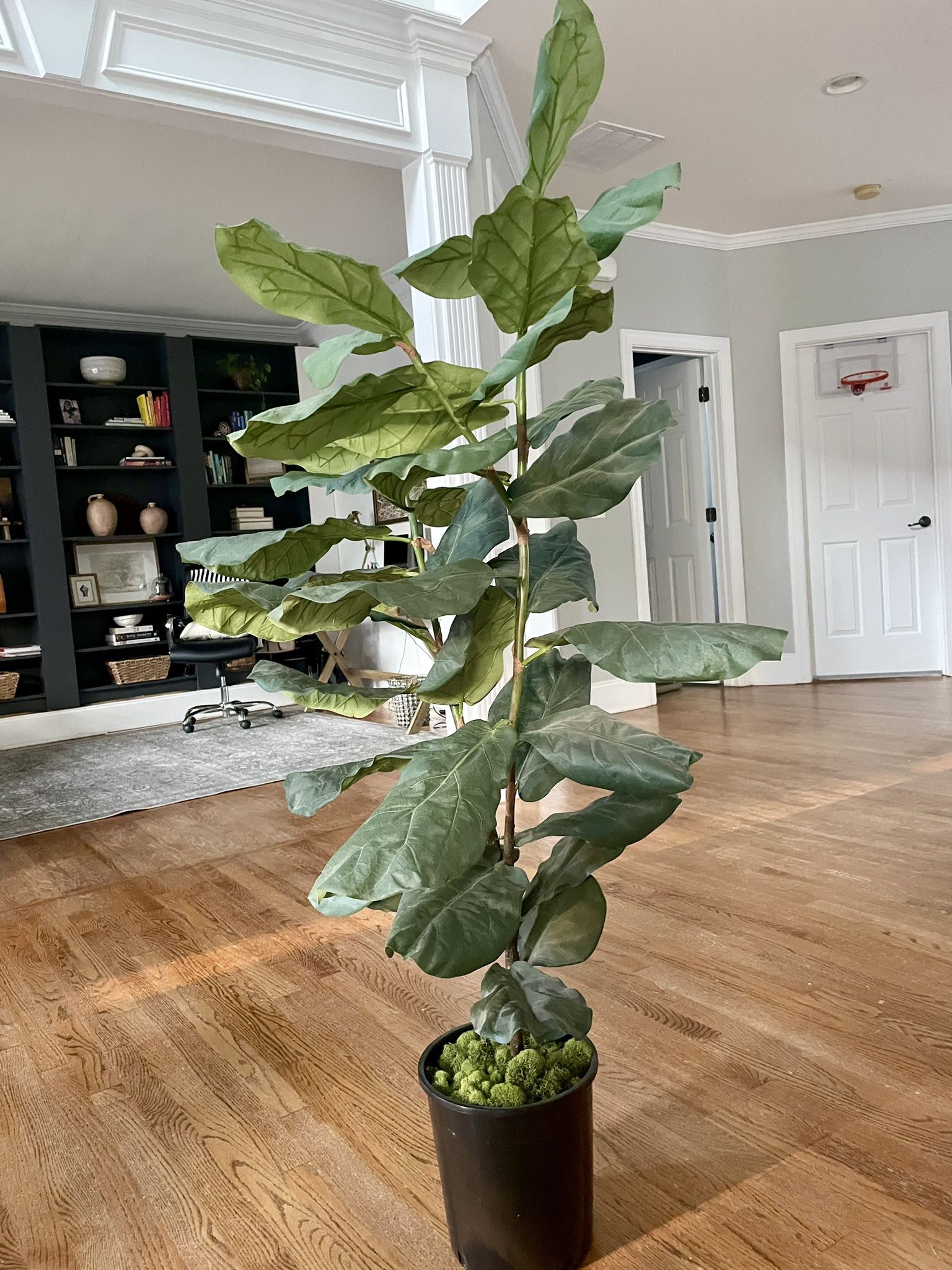 Faux Fiddle Leaf Fig Plant