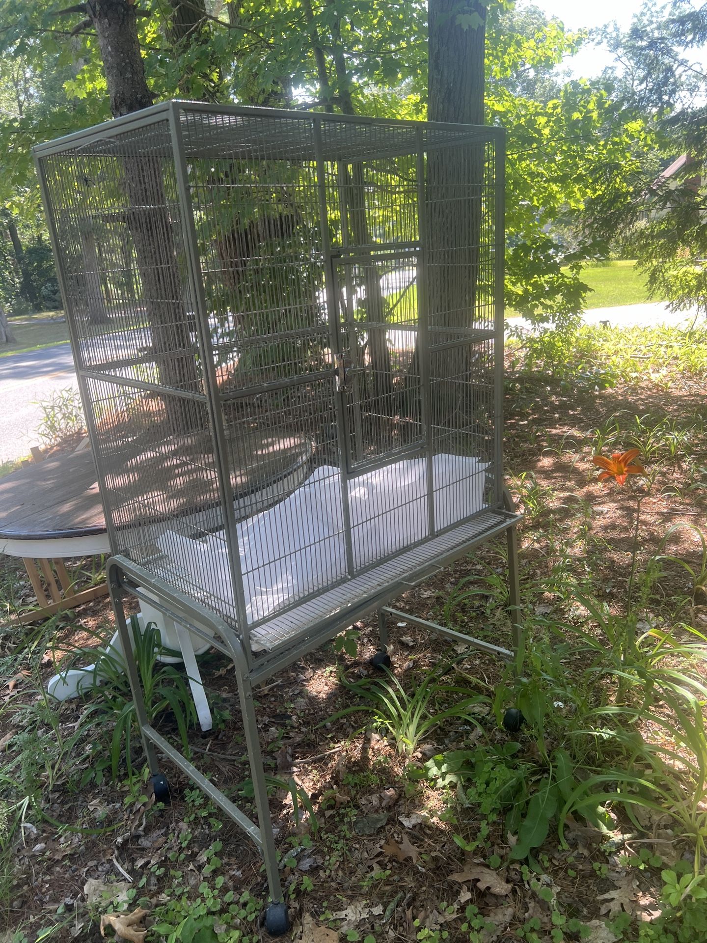 Bird Cage
