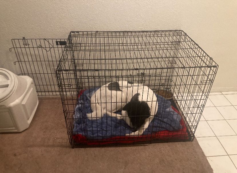 Large Dog Cage