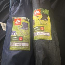 2 Lawn Chairs