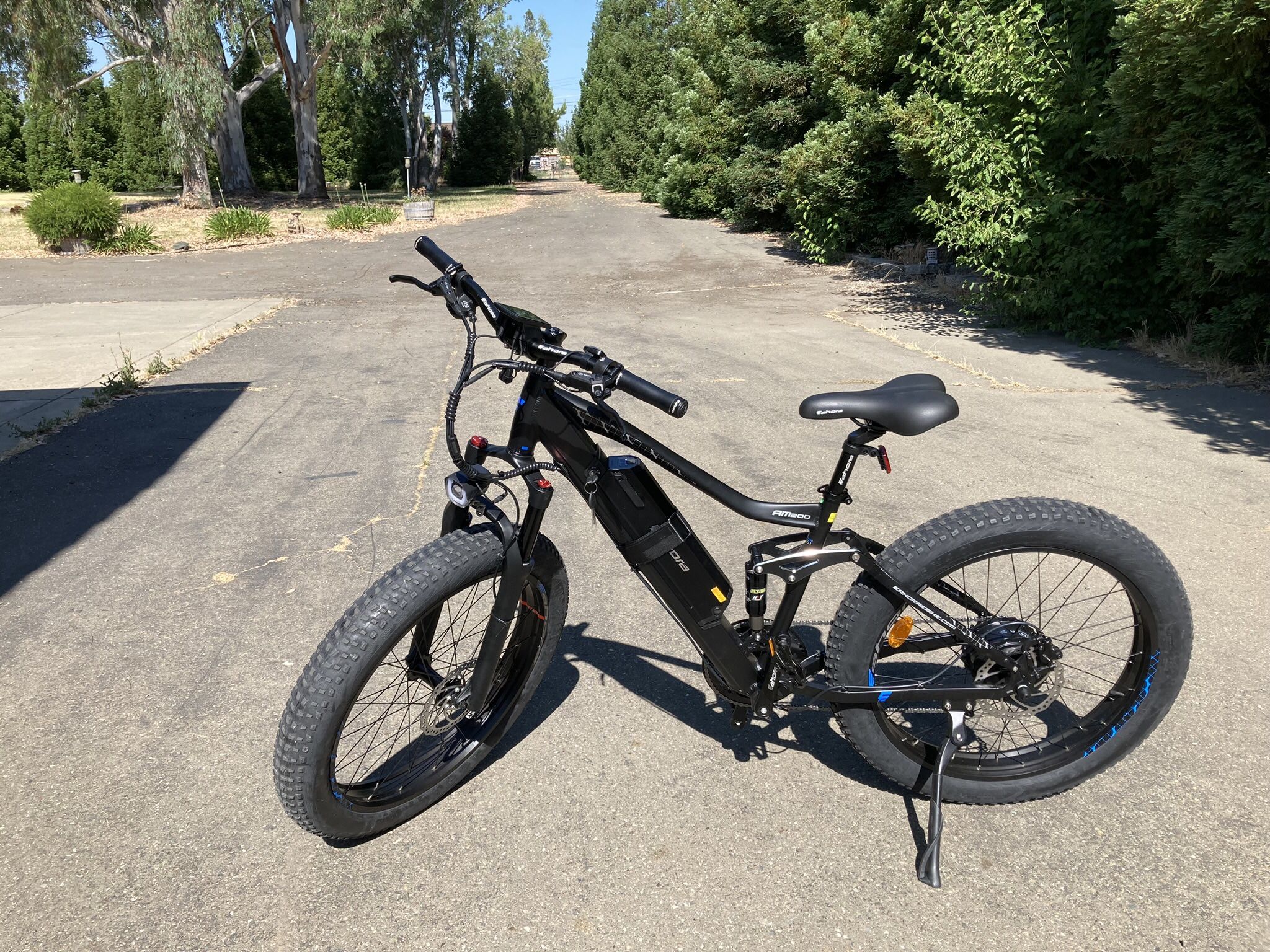 eAhora AM 200 E bike