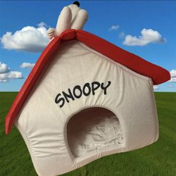 Snoopy Dog House