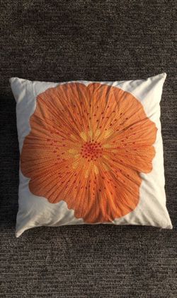 Crate & Barrel Beautiful Pillow