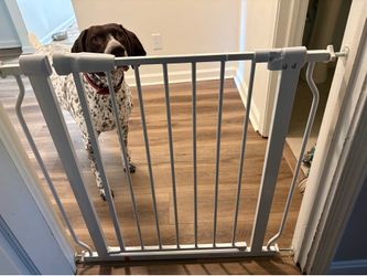 Walk-Thru Safety Gate with Auto-Close