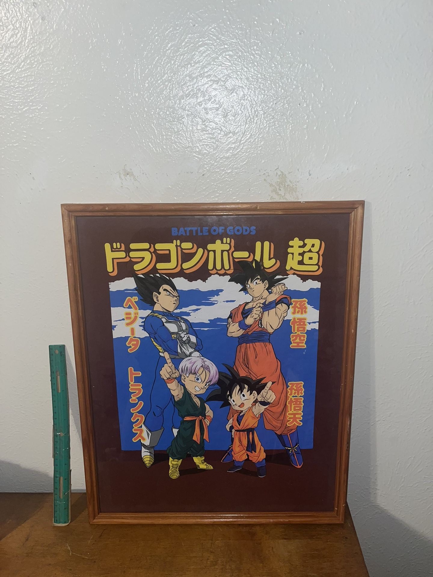 Dragon Balls Z Frame